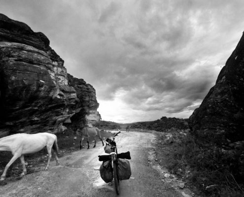 Fine Art Photography